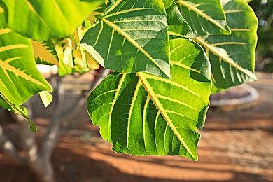 BioWare暗示《质量效应》新作或为三代续作